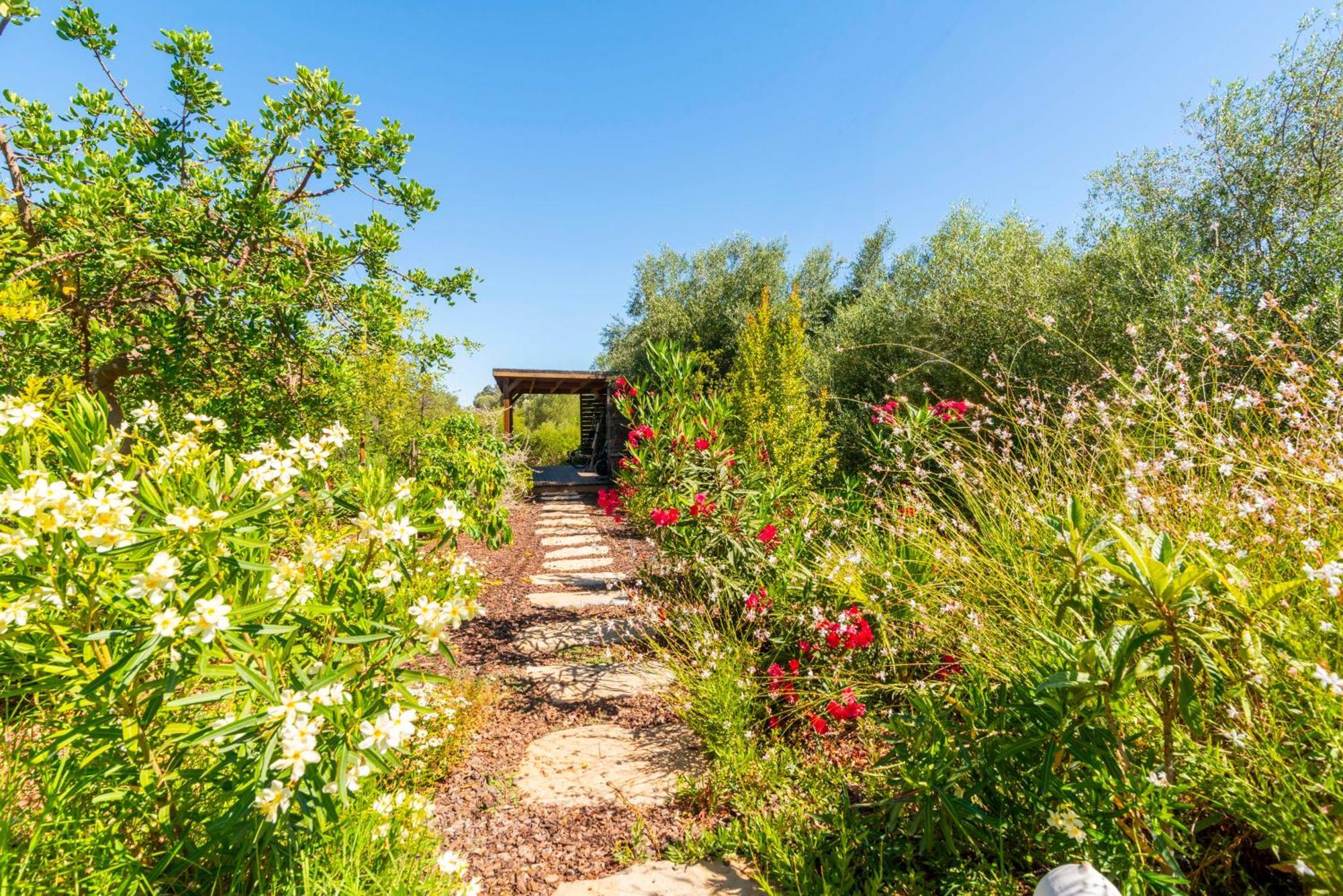 Laranjal Farm House Moncarapacho Exterior photo